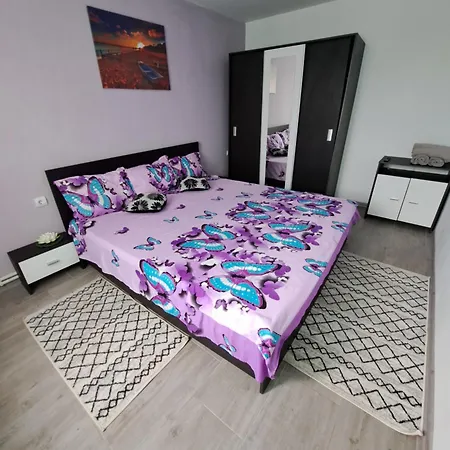 Guest house Andrei