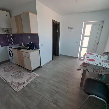 Guest house Andrei Navodari